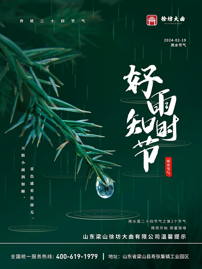 攝影圖雨水節(jié)氣海報(bào)3